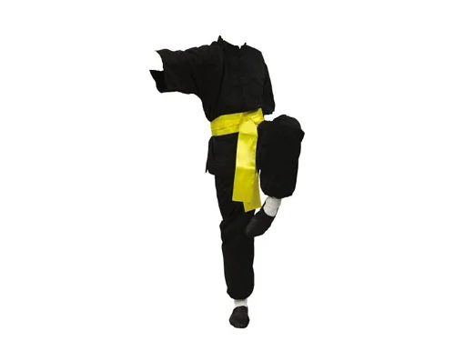 Kimono Kung Fu - modelo 6